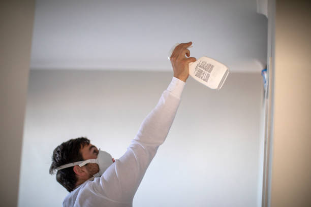 Best Black Mold Removal  in Indio, CA