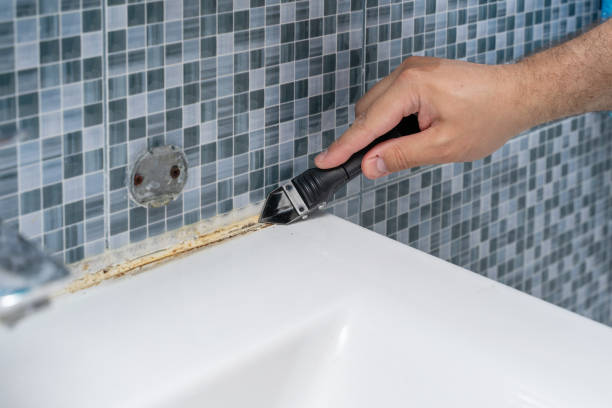 Best Same-Day Mold Removal  in Indio, CA